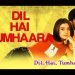 download film dil hai tumhara